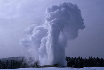 The Old Faithful geyser erupting in Yellowstone National Park, Wyoming, USA.