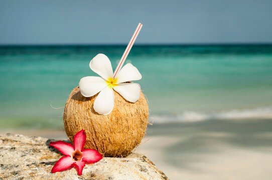 coconut with cocktail at the beach, Koh Lipe, Thailand