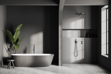 Naklejka na ściany i meble Front view on dark bathroom interior with bathtub, shower