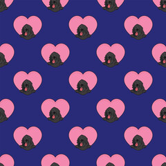 Newfoundland dog with paws pattern, Valentine's day heart wallpaper. Love heart with pet head holiday texture. Dog face Holding Heart Cartoon square background. St Valentine's day present paper.
