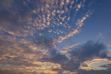 夕方の空を見上げる