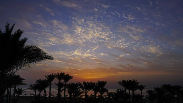 Beautiful landscape with palms on resort beach and sunrise over sea, timelapse 4k