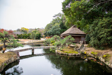 Fototapeta na wymiar Okayama Japan 5th Dec 2022: the view of Korakuen, a Japanese garden located in Okayama Prefecture. It is one of the Three Great Gardens of Japan, was built in 1700 by Ikeda Tsunamasa.