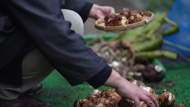 Pockmark Images Browse 34,816 Stock Photos, Vectors, and Video