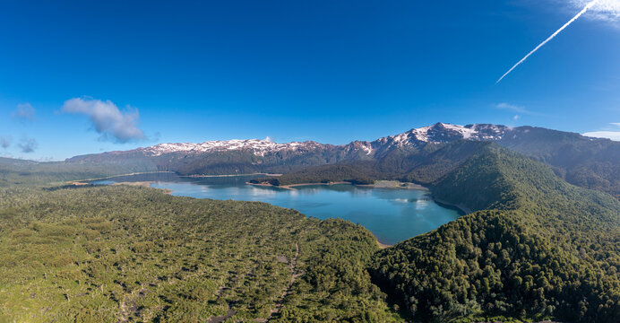 Lago Conguillio and temperate  rainforest, Araucan&iacute;a, Chile