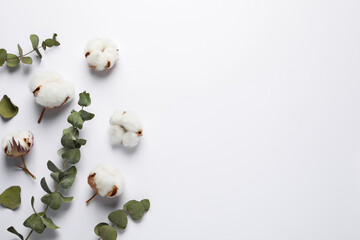 Fluffy cotton flowers and leaves on white background, flat lay. Space for text