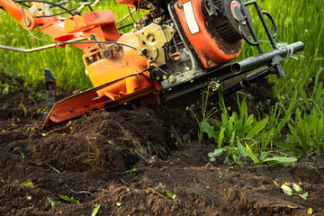 Fototapeta premium a small agricultural tractor plows the ground, the work of a walk-behind tractor. land treatment for planting.