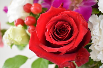 Fototapeta premium 花束
