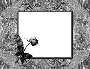 Funeral black card with dry rose and bow. Condolence postcard with frame place for your sincere condolences text or death notice..