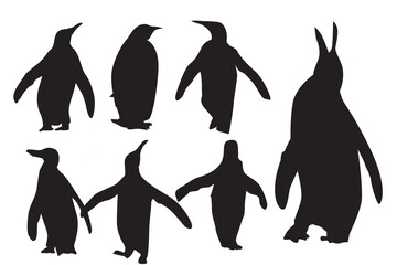 vector flat illustration set of penguins in different poses. Adult birds and chicks. Vector illustration, isolated on a white background.