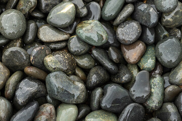 Wet River Rock Texture for Background 