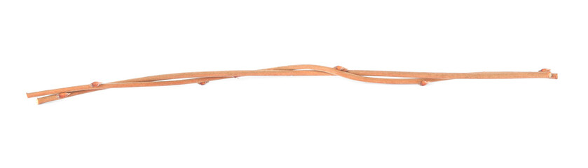 Two dry tree twigs on white background