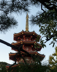 Fototapeta premium 五重塔