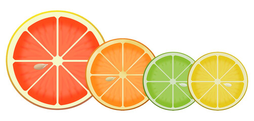 Here is an illustration showing citrus fruit slices isolated on a blue background.