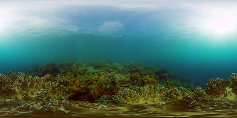 Naklejka na ściany i meble Tropical coral reef seascape with fishes, hard and soft corals. Philippines. 360 panorama VR