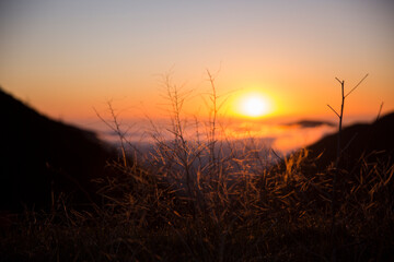 sunset in the field