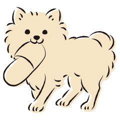 スリッパで遊ぶチワワ犬（いたずら・しつけ）