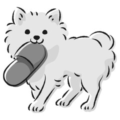 スリッパで遊ぶチワワ犬（いたずら・しつけ）