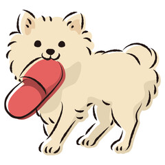 スリッパで遊ぶチワワ犬（いたずら・しつけ）