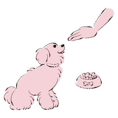 待てをする犬（ごはん・しつけ）