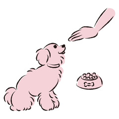 待てをする犬（ごはん・しつけ）