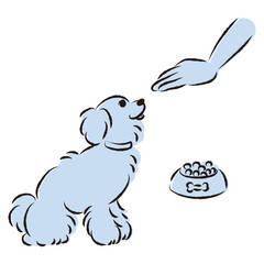 待てをする犬（ごはん・しつけ）