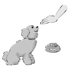 待てをする犬（ごはん・しつけ）