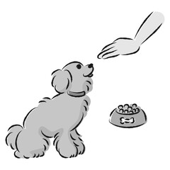 待てをする犬（ごはん・しつけ）