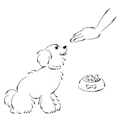 待てをする犬（ごはん・しつけ）