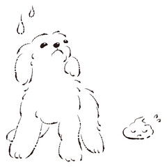 うんちをして困った表情の犬（トイレのしつけ）