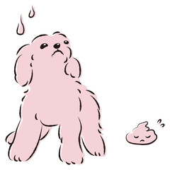 うんちをして困った表情の犬（トイレのしつけ）
