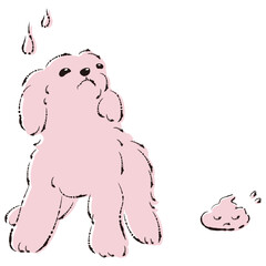 うんちをして困った表情の犬（トイレのしつけ）