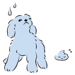 うんちをして困った表情の犬（トイレのしつけ）