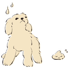 うんちをして困った表情の犬（トイレのしつけ）