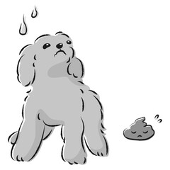 うんちをして困った表情の犬（トイレのしつけ）