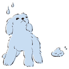 うんちをして困った表情の犬（トイレのしつけ）