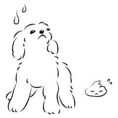 うんちをして困った表情の犬（トイレのしつけ）