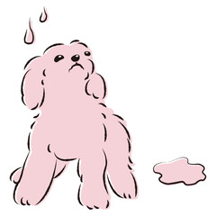 おしっこをして困った表情の犬（トイレのしつけ）