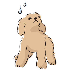 困った表情の犬（不安・心配）