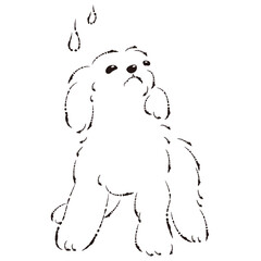 困った表情の犬（不安・心配）