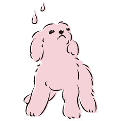 困った表情の犬（不安・心配）
