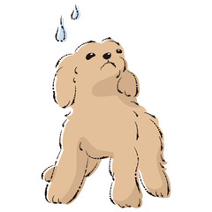 困った表情の犬（不安・心配）