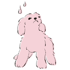 困った表情の犬（不安・心配）