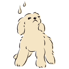 困った表情の犬（不安・心配）