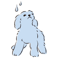 困った表情の犬（不安・心配）