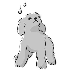 困った表情の犬（不安・心配）