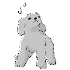 困った表情の犬（不安・心配）