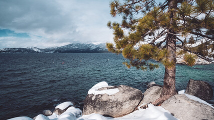 landscape with lake