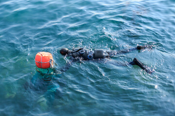 Fototapeta 바다에서 해산물 채취를 하고 있는 해녀 obraz