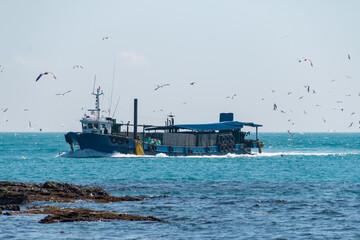 고기를 잡고 항구로 돌아오는 어선